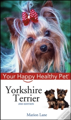 Capa do artigo Yorkshire Terrier