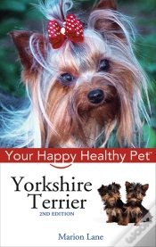 Capa do artigo Yorkshire Terrier