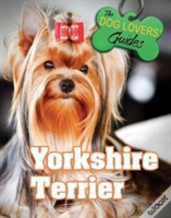 Capa do artigo Yorkshire Terrier