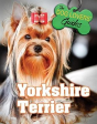 Yorkshire Terrier - Preview