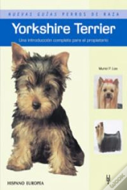 Capa do artigo Yorkshire Terrier