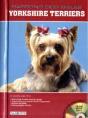Yorkshire Terriers - Preview