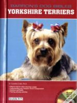 Capa do artigo Yorkshire Terriers