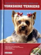 Capa do artigo Yorkshire Terriers