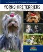 Yorkshire Terriers - Preview