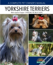 Capa do artigo Yorkshire Terriers