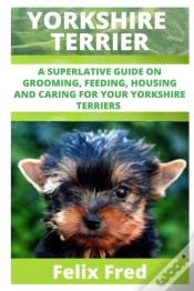 Capa do artigo Yorkshire Terriers