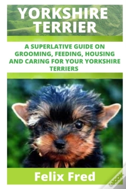 Capa do artigo Yorkshire Terriers