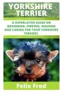 Yorkshire Terriers - Preview