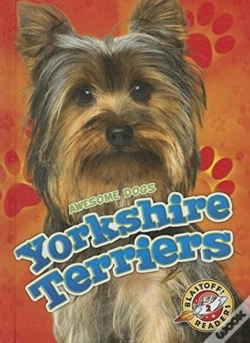 Capa do artigo Yorkshire Terriers