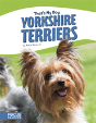 Yorkshire Terriers - Preview