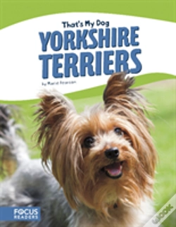 Capa do artigo Yorkshire Terriers