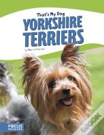 Yorkshire Terriers