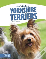 Capa do artigo Yorkshire Terriers