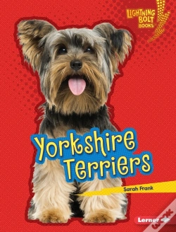 Capa do artigo Yorkshire Terriers