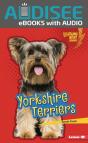 Yorkshire Terriers - Preview