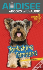 Capa do artigo Yorkshire Terriers