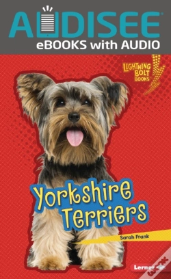 Capa do artigo Yorkshire Terriers