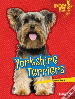 Capa do artigo Yorkshire Terriers