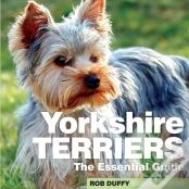 Yorkshire Terriers