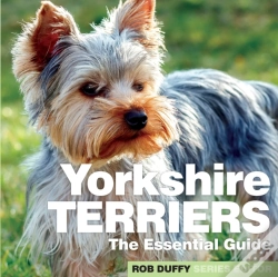 Capa do artigo Yorkshire Terriers