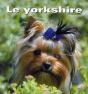 Yorkshire - Preview
