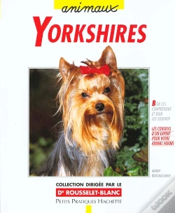 Capa do artigo Yorkshires