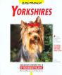 Yorkshires - Preview