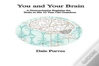 You And Your Brain