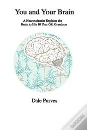 Capa do artigo You And Your Brain