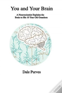 Capa do artigo You And Your Brain