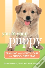 Capa do artigo You And Your Puppy