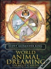 Capa do artigo You Are Clairvoyant Box Set