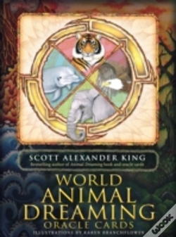Capa do artigo You Are Clairvoyant Box Set