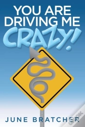 Capa do artigo You Are Driving Me Crazy!