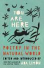 You Are Here - Preview