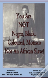 You Are Not Negro, Black, Coloured, Morisco Nor An African Slave!