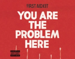 Capa do artigo You Are the Problem Here - Vinil