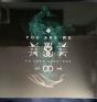 You Are We - Vinil - Preview