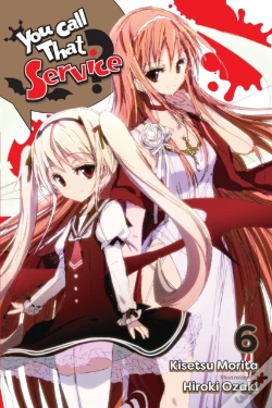 Capa do artigo You Call That Service?, Vol. 6 (Light Novel)
