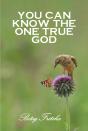 You Can Know The One True God - Preview