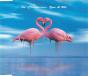 You & Me - CD - Preview