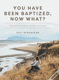 Capa do artigo You Have Been Baptized, Now What : Spiri