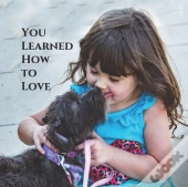 You Learned How To Love
