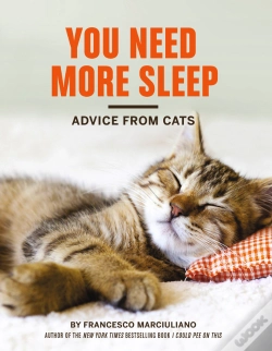 Capa do artigo You Need More Sleep