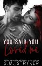 You Said You Loved Me - Preview
