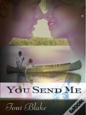 Capa do artigo You Send Me