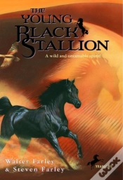 Capa do artigo Young Black Stallion