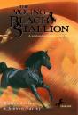 Young Black Stallion - Preview