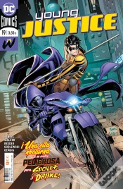 Capa do artigo Young Justice Num. 19
